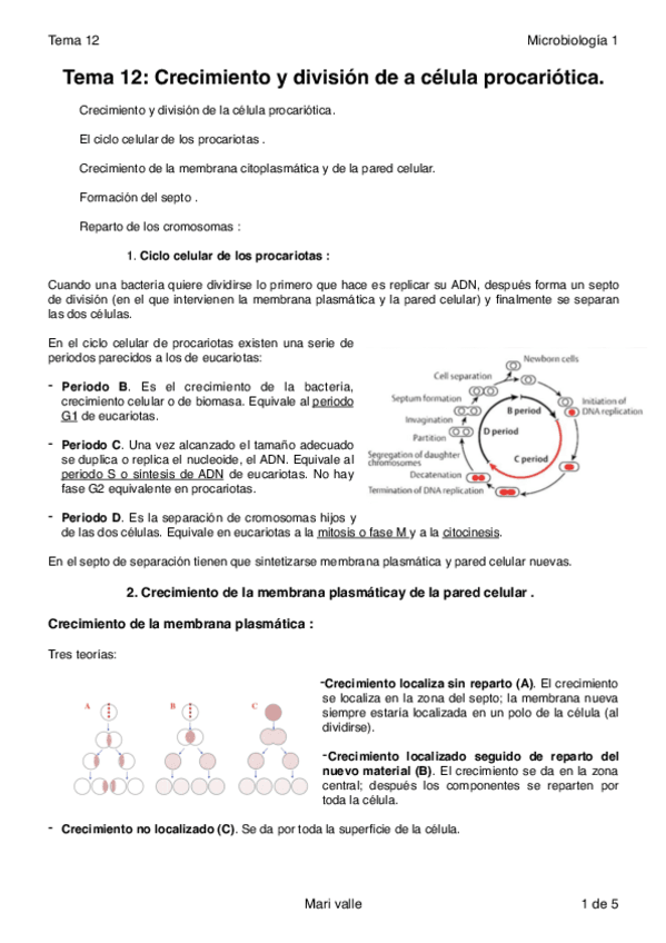 Miniatura del documento Tema 12 2.pdf