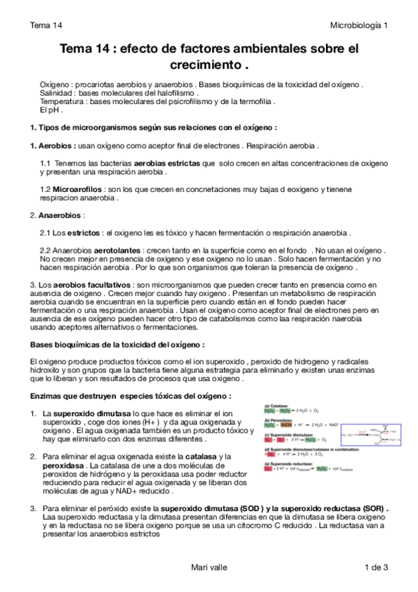 Miniatura del documento Tema 14 micro 1.pdf