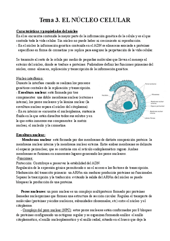 Miniatura del documento t.3 bio copia.pdf