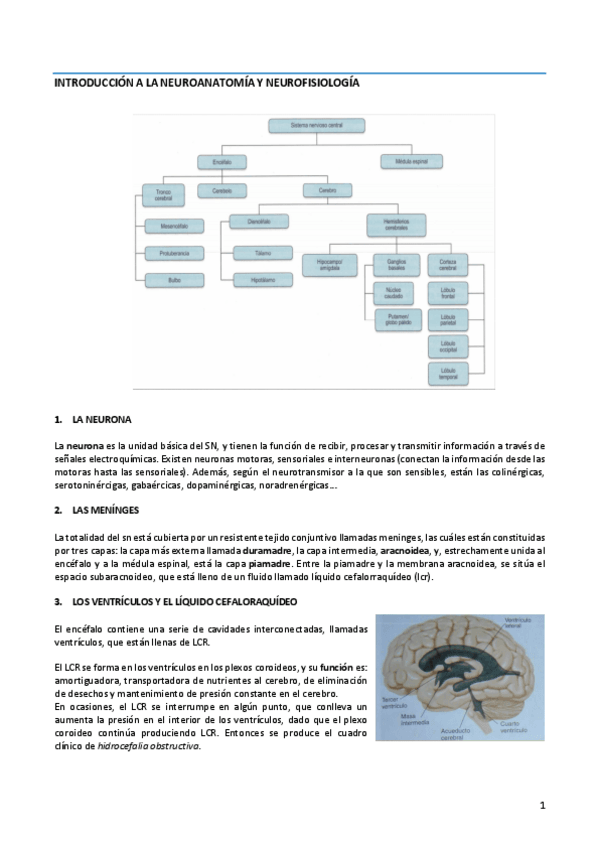 Miniatura del documento TEMA 1. ASPECTOS GENERALES DE LA VALORACIÓN GLOBAL DE FISIOTERAPIA.pdf