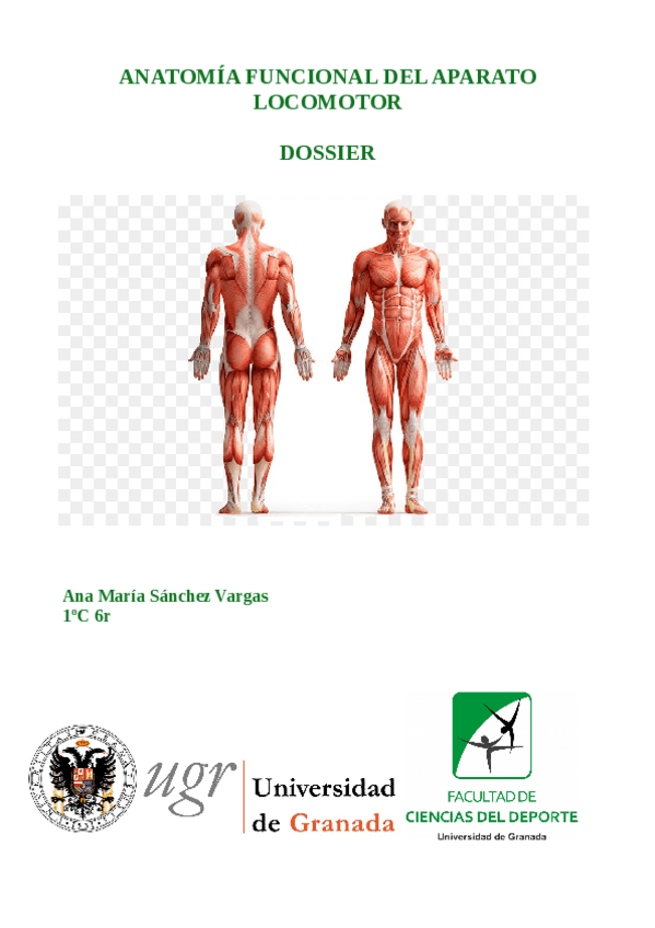 Miniatura del documento DOSSIER ANATOMÍA.pdf