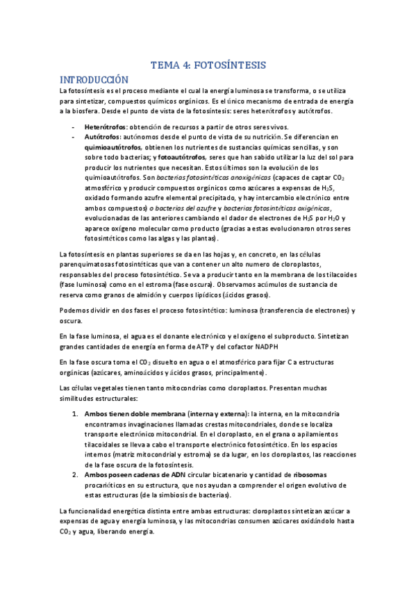Miniatura del documento TEMA 4- FOTOSÍNTESIS Nerea Riveros.pdf