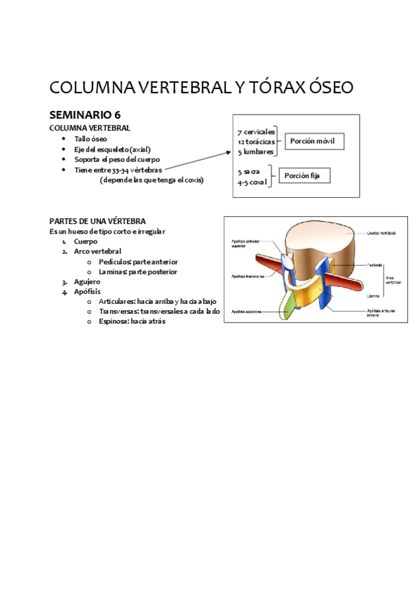 Miniatura del documento SEMINARIO 6.pdf