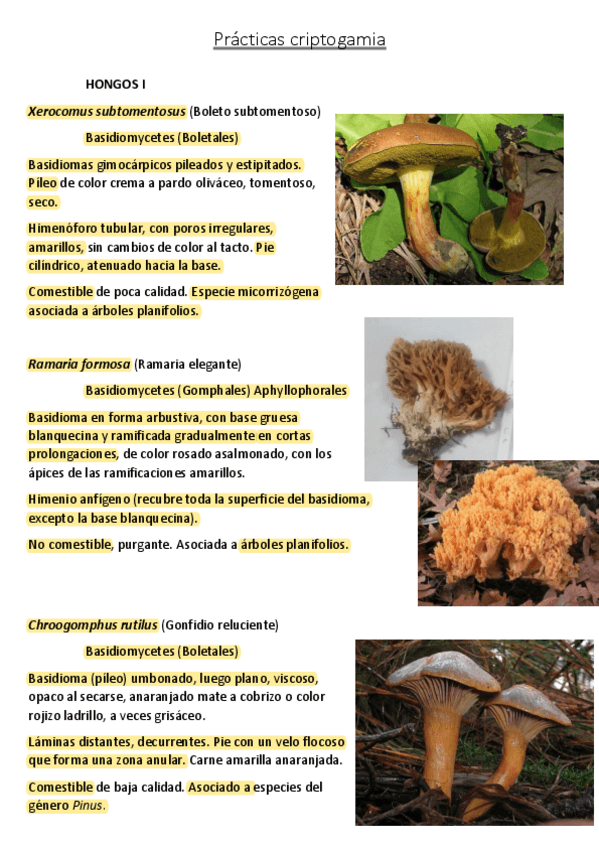 Miniatura del documento HONGOS I.pdf