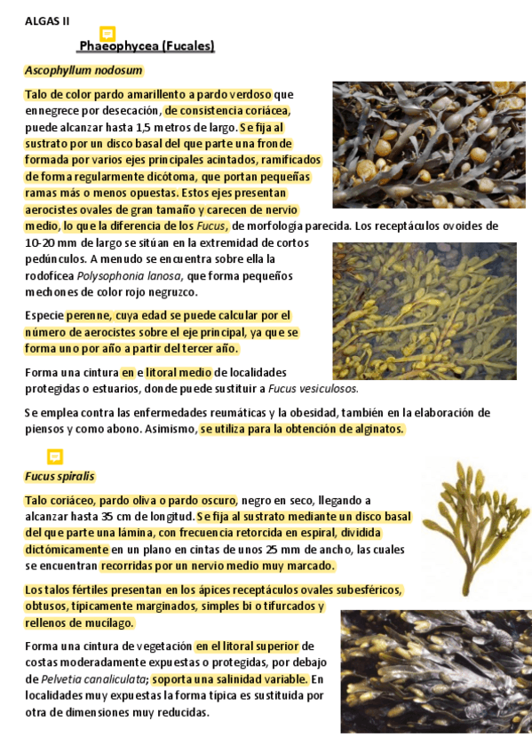 Miniatura del documento ALGAS II.pdf