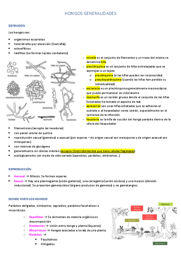 Miniatura del documento introducción e interés hongos + Oomycota y Mixomicota.pdf