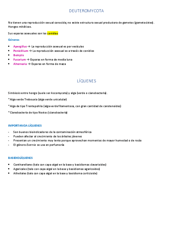 Miniatura del documento Deuteromycota + Líquenes.pdf