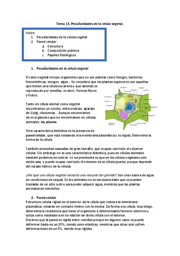 Miniatura del documento Tema 13 biologia.pdf