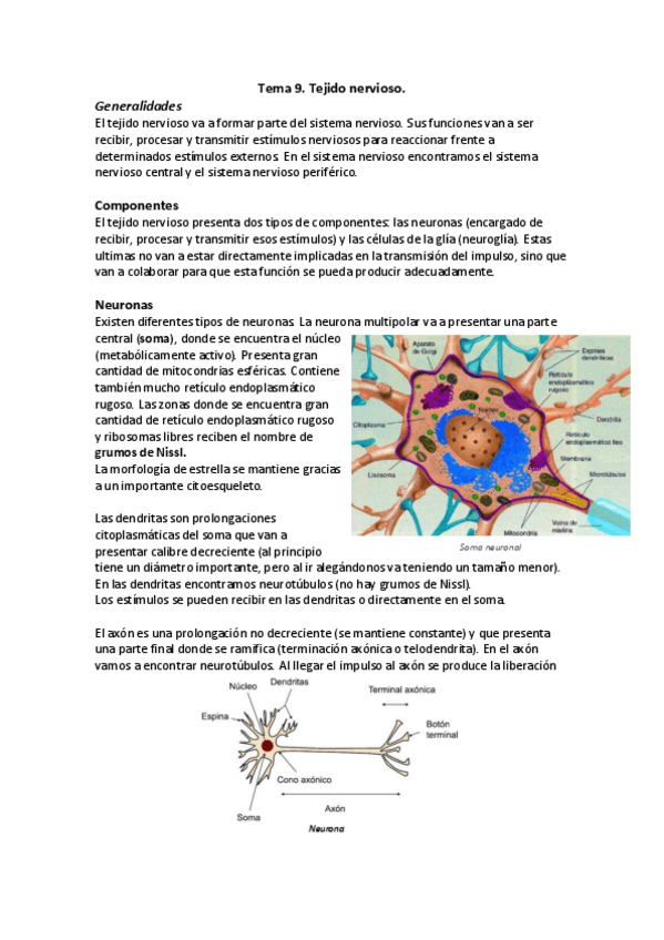 Miniatura del documento Tejido nervioso.pdf