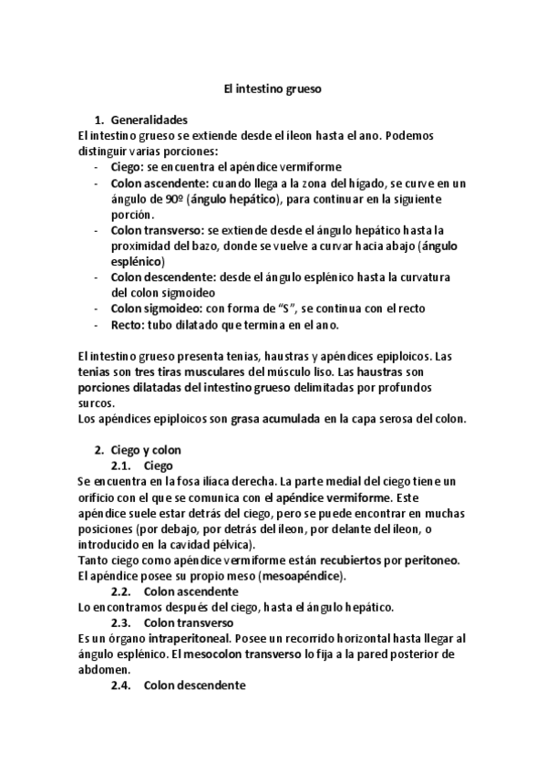Miniatura del documento Intestino grueso.pdf