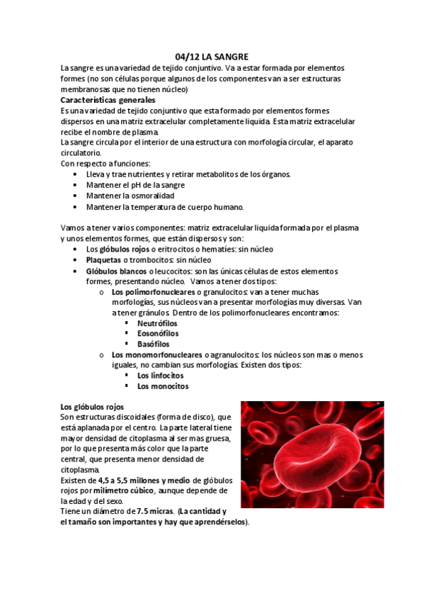 Miniatura del documento La sangre.pdf