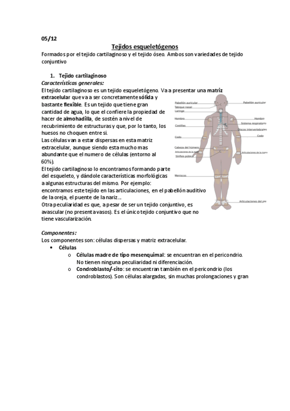 Miniatura del documento Tejido cartilaginoso.pdf