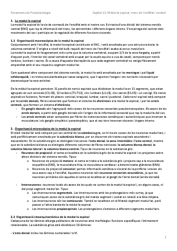 Miniatura del documento Resum Capítol 13.pdf