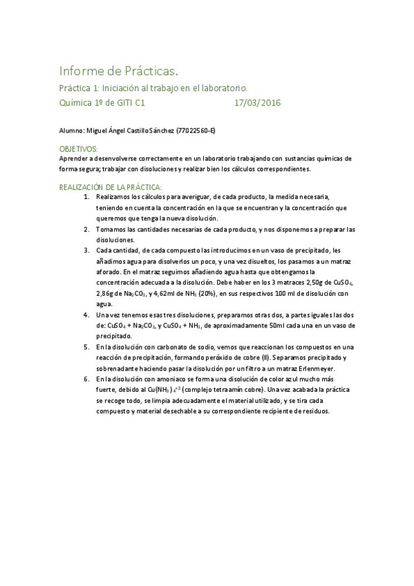 Miniatura del documento Informe de Prácticas.pdf