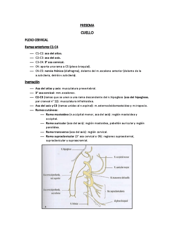 Miniatura del documento PRESOMA.pdf