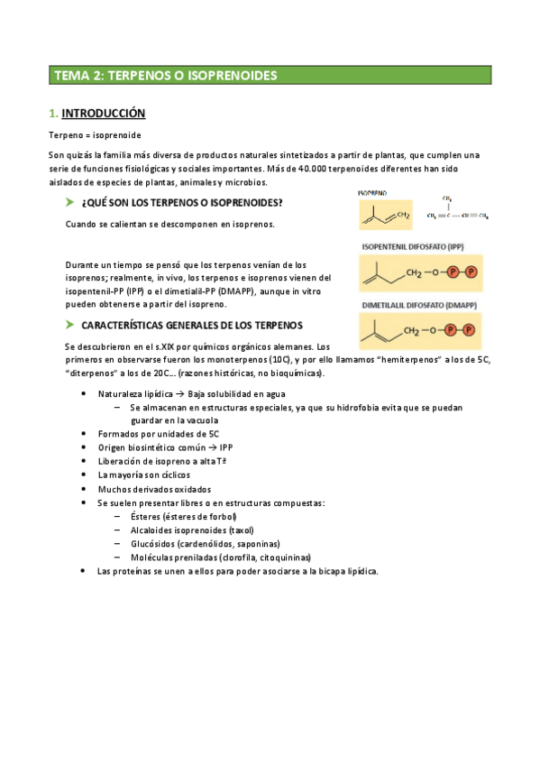 Miniatura del documento MET 2º - TEMA 2.pdf