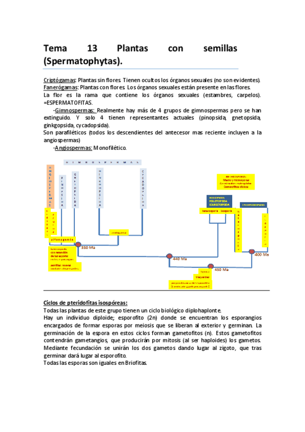Miniatura del documento botánica tema 13.pdf