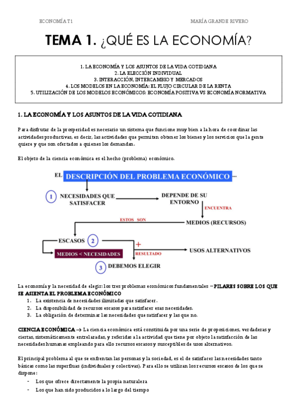 Miniatura del documento TEMA 1. ECONOMÍA.pdf
