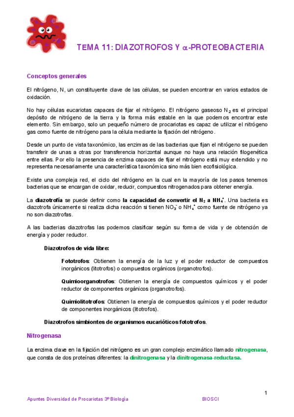 Miniatura del documento Tema 11 Diazotrofos y alfa-proteobacteria.pdf