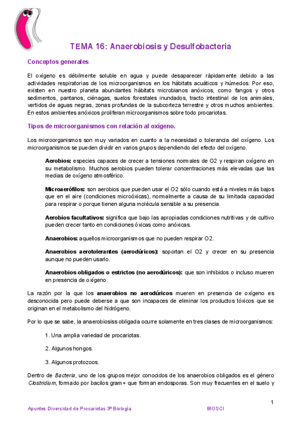 Miniatura del documento Tema 16 Anaerobiosis y desulfobacteria.pdf