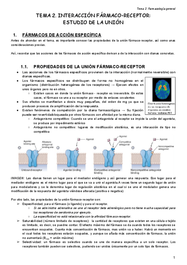 Miniatura del documento Tema II..pdf