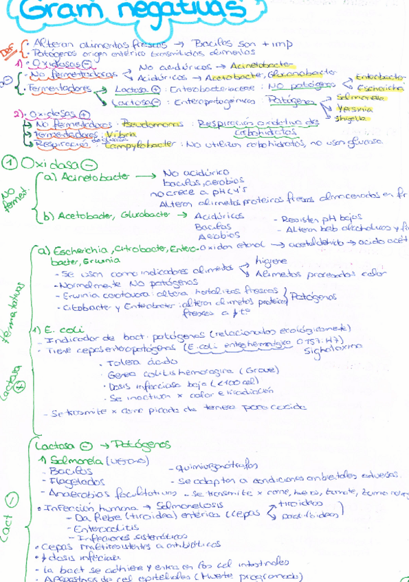 Miniatura del documento GRAM NEG.pdf