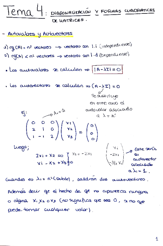 Miniatura del documento TEMA 4. (DIAGONALIZACION Y FORMAS CUADRÁTICAS).pdf