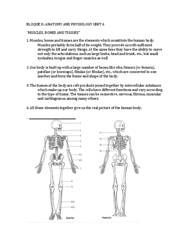 Miniatura del documento Examen ingles tipo A.pdf