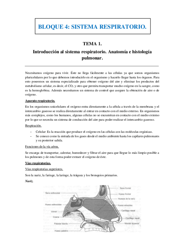 Miniatura del documento BLOQUE 4.pdf