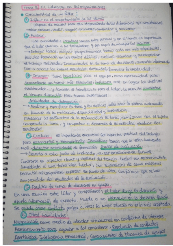 Miniatura del documento Tema 5 Psicologia del Trabajo y las organizaciones.pdf