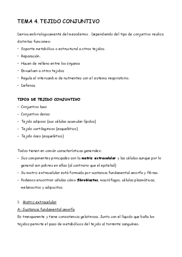 Miniatura del documento TEMA 4- Tejido conjuntivo..pdf