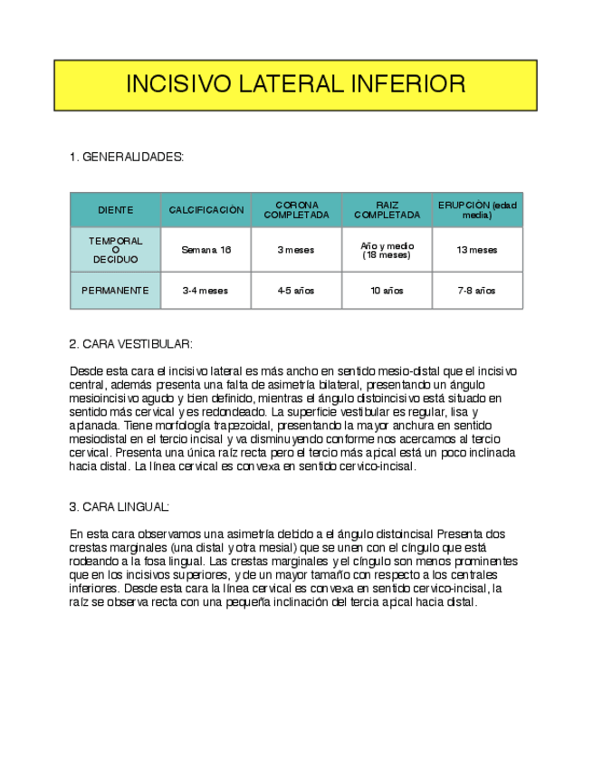 Miniatura del documento incisivo lateral inferior.pdf