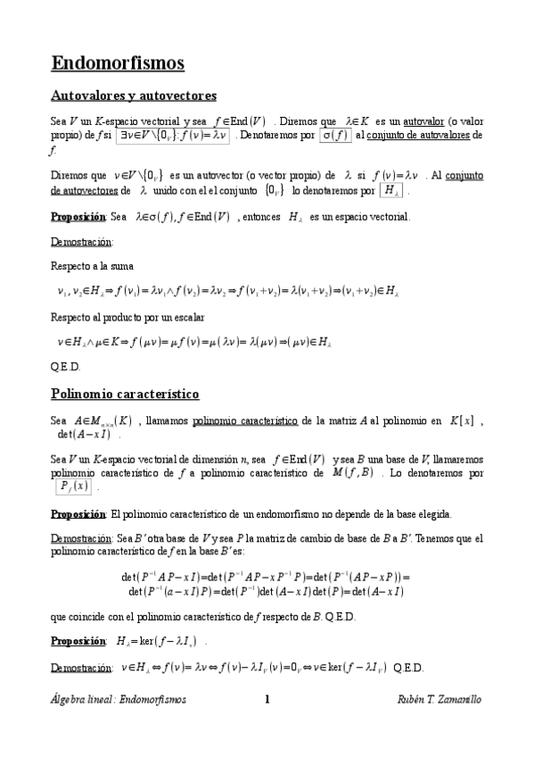 Miniatura del documento Teoria de endomorfismo.pdf