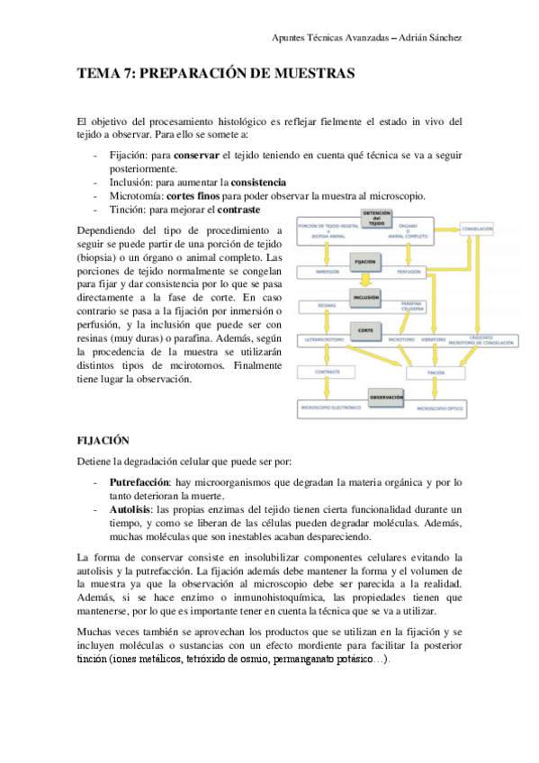 Miniatura del documento TEMA 7 técnicas.pdf