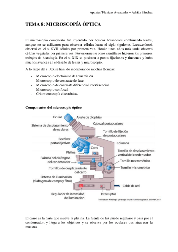 Miniatura del documento TEMA 8 técnicas.pdf