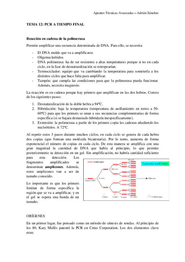Miniatura del documento TEMA 12 técnicas.pdf