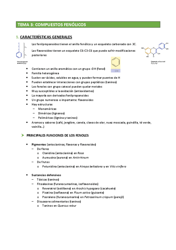 Miniatura del documento MET 2º - TEMA 3.pdf