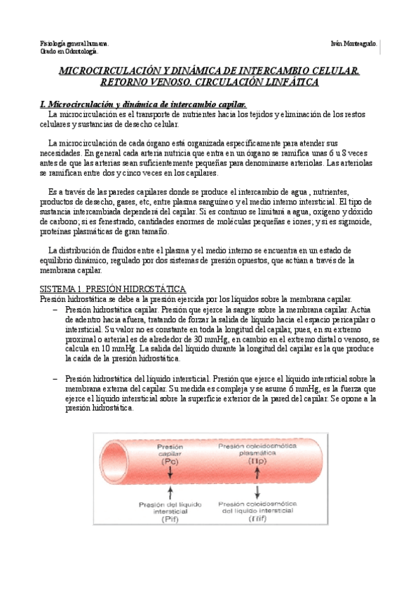 Miniatura del documento Tema 12. Microcirculación y dinámica de intercambio capilar. Retorno venoso. Circulación linfática..pdf