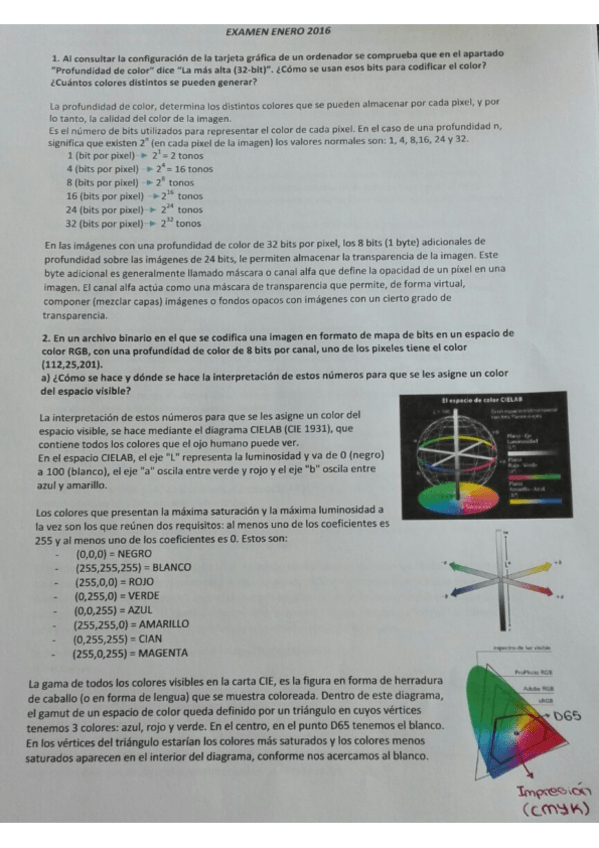 Miniatura del documento EXAMEN ENERO 2016.pdf