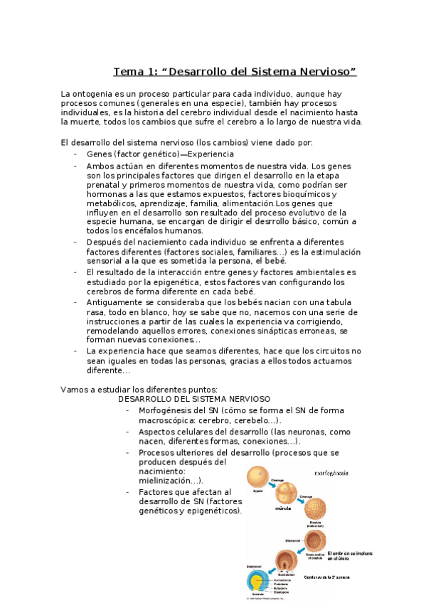 Miniatura del documento Tema 1.docx