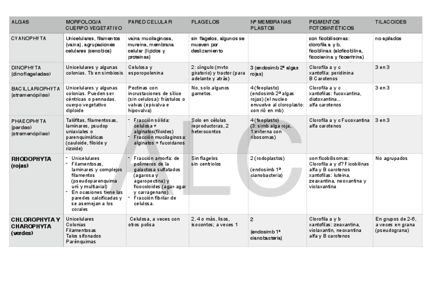 Miniatura del documento todas algas.pdf