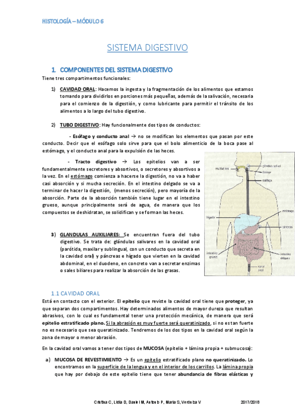 Miniatura del documento Apuntes Histología Módulo 6.pdf