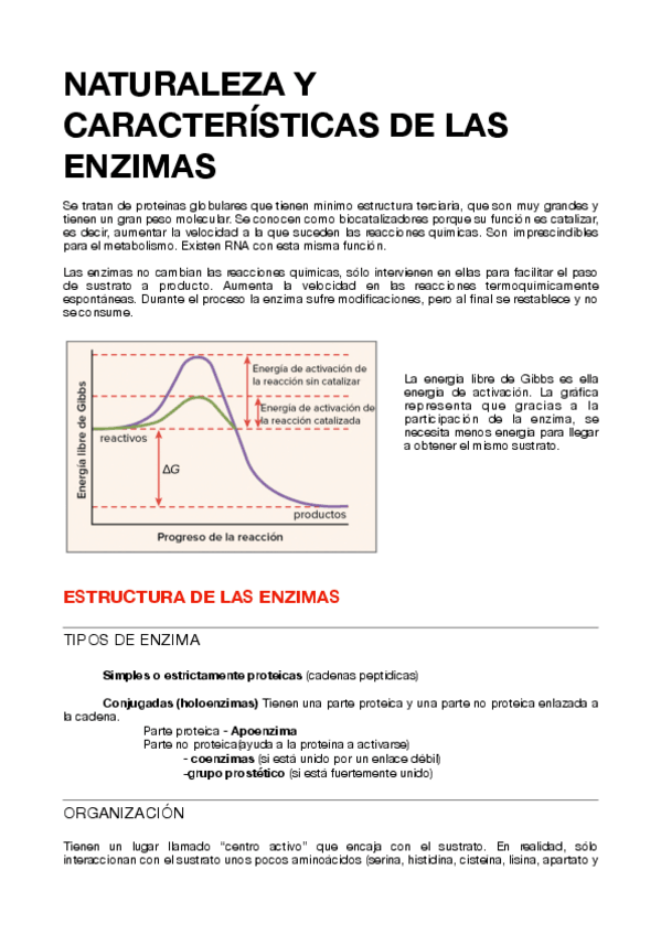Miniatura del documento 7.ENZIMAS.pdf