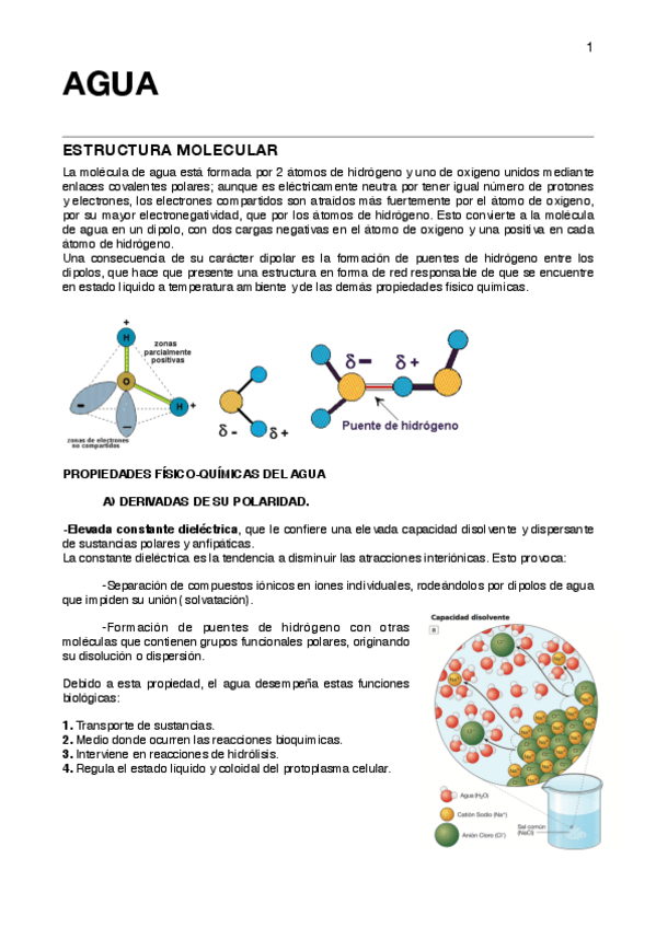 Miniatura del documento 1.AGUA Y EQUILIBRIO.pdf