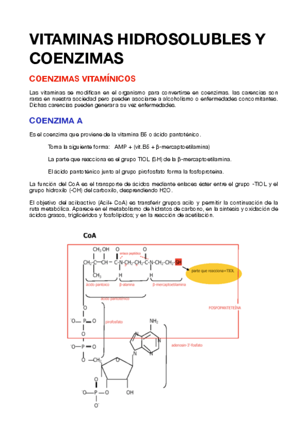 Miniatura del documento 10.VITAMINAS HIDROSOLUBLES Y COENZIMAS.pdf