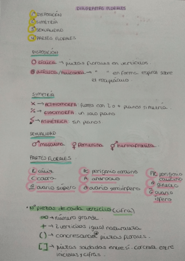 Miniatura del documento Diagrama floral.pdf
