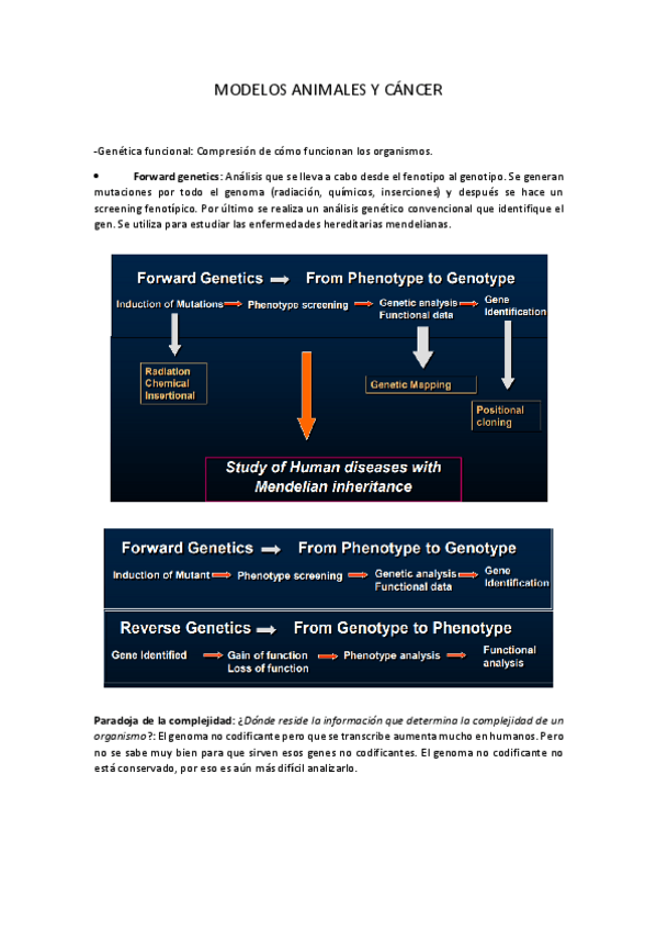 Miniatura del documento 10. Modelos animales.pdf
