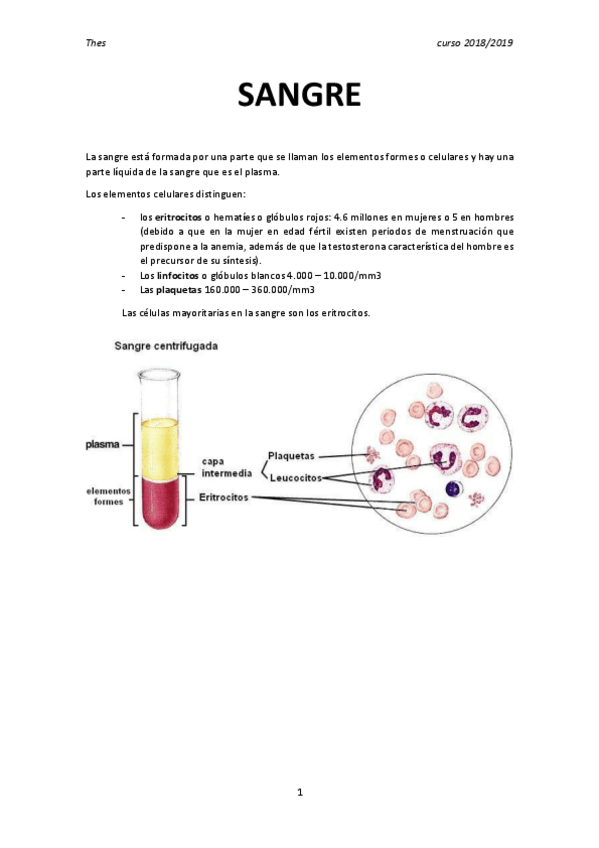Miniatura del documento Sangre.pdf