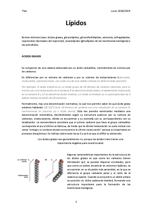 Miniatura del documento Lípidos.pdf