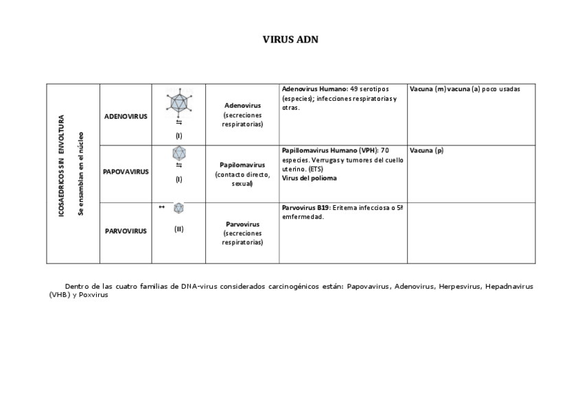 Miniatura del documento TABLA RESUMEN VIROLOGÍA.pdf